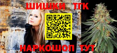 шишки Лесосибирск